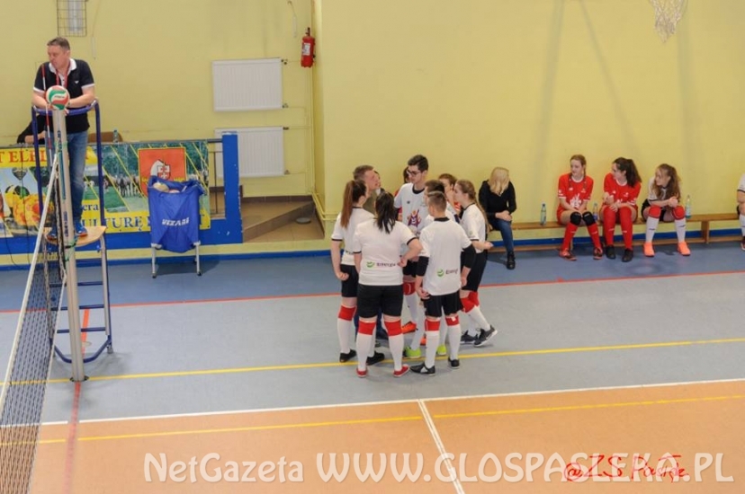 ZS międzyszkolny turniej piłki siatkowej