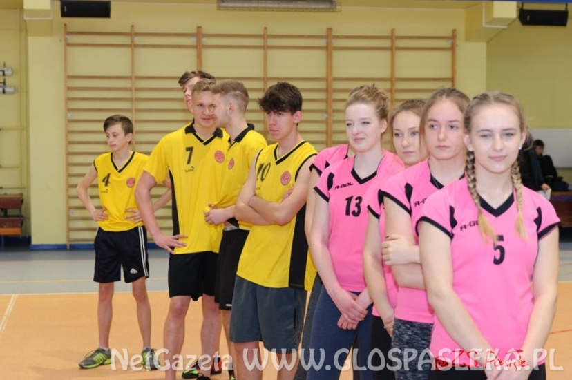 ZS międzyszkolny turniej piłki siatkowej