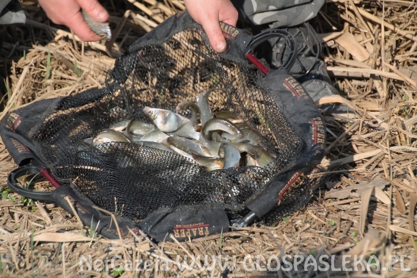 Puchar burmistrza został w Pasłęku