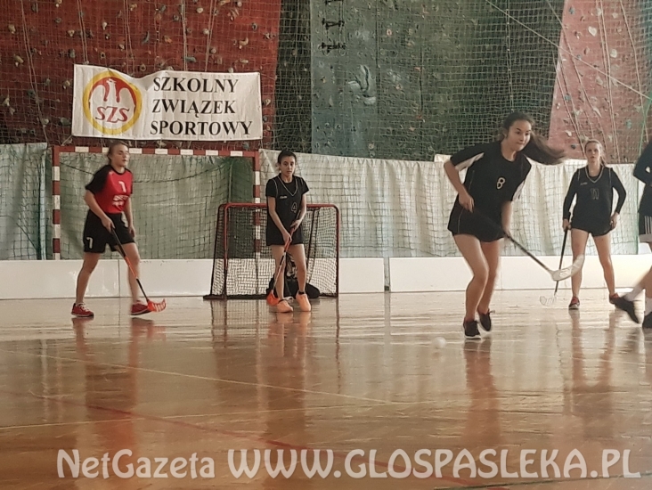 Srebro dziewcząt z ZSEiT w unihokeju