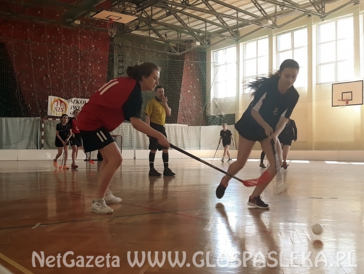 Srebro dziewcząt z ZSEiT w unihokeju