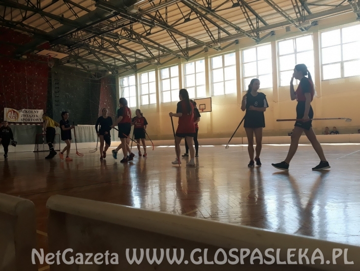 Srebro dziewcząt z ZSEiT w unihokeju