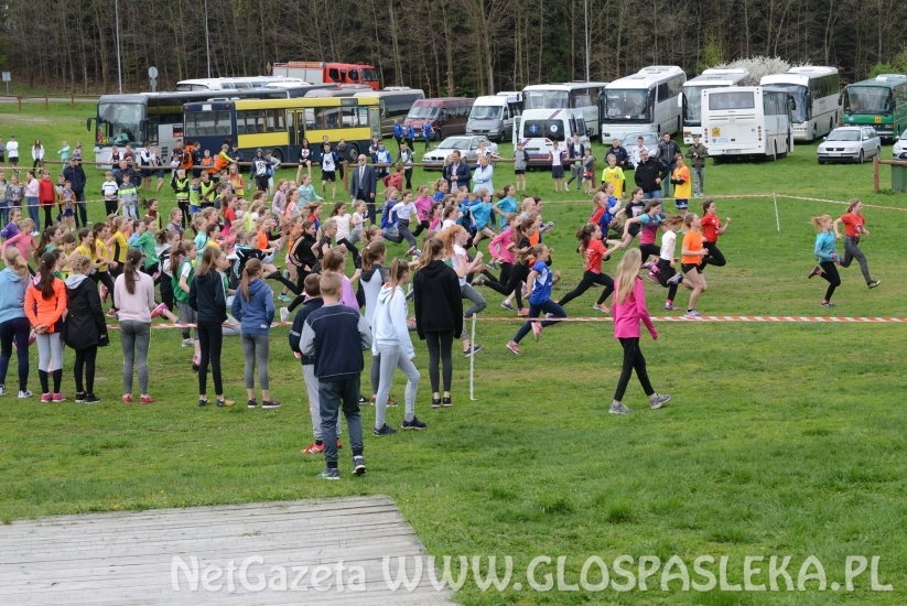 Rekordowe mistrzostwa