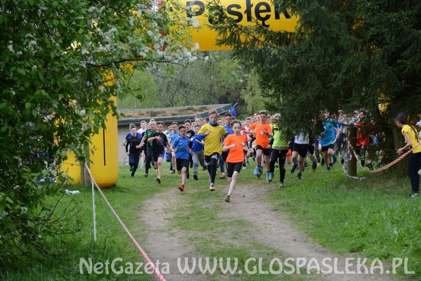 Rekordowe mistrzostwa