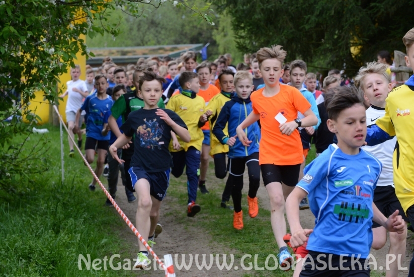 Rekordowe mistrzostwa