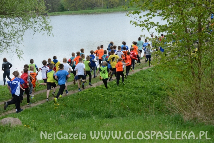 Rekordowe mistrzostwa