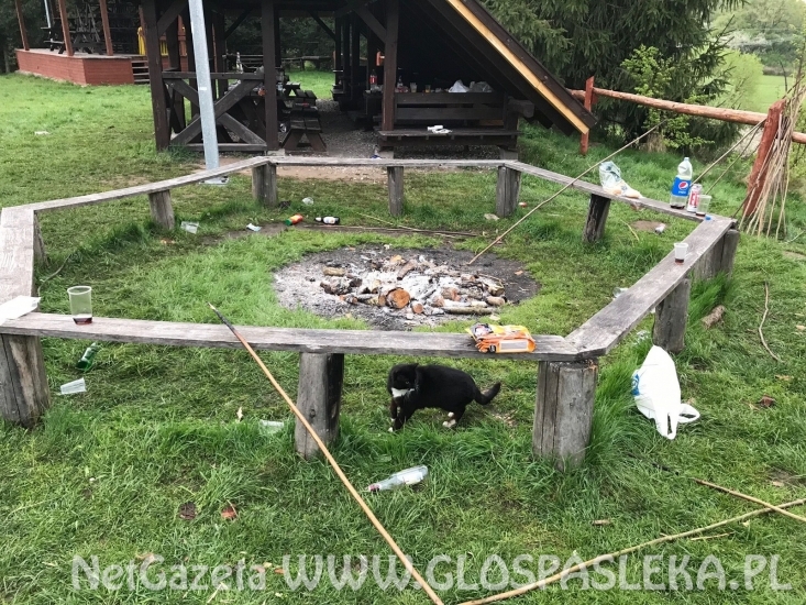 Młodzież się bawi