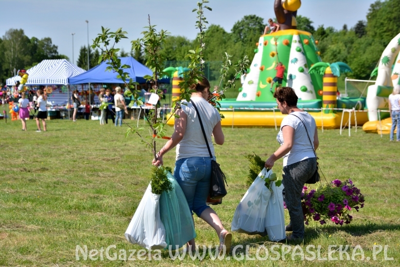 Festyn Ekologiczny 2018