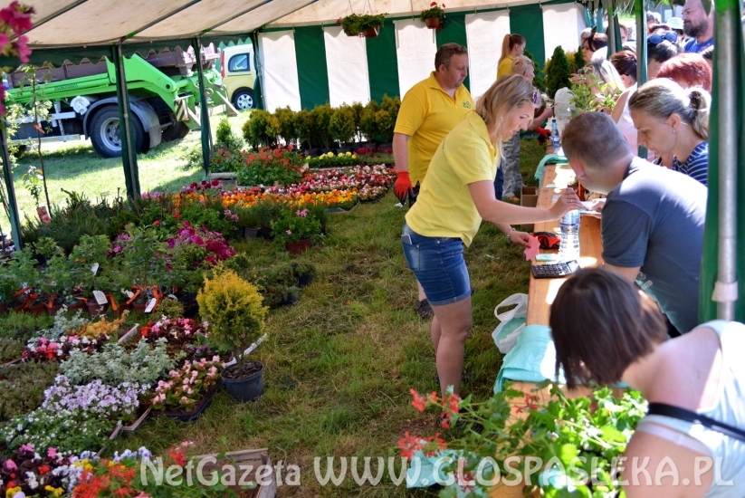 Festyn Ekologiczny 2018