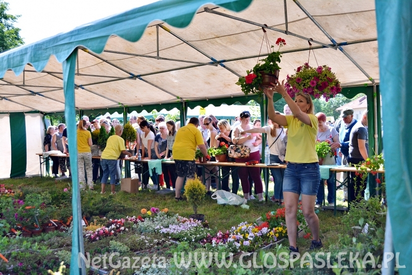Festyn Ekologiczny 2018