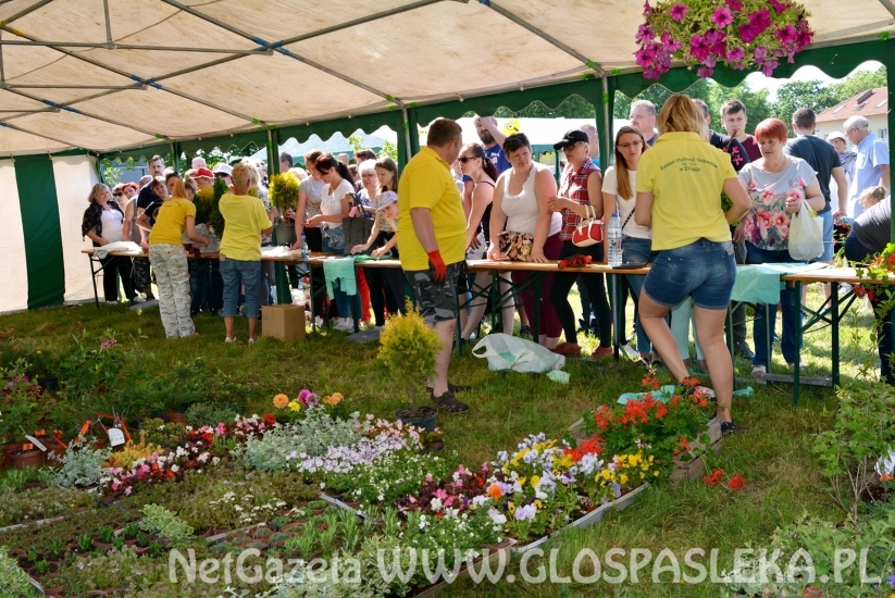 Festyn Ekologiczny 2018