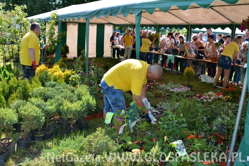 Festyn Ekologiczny 2018