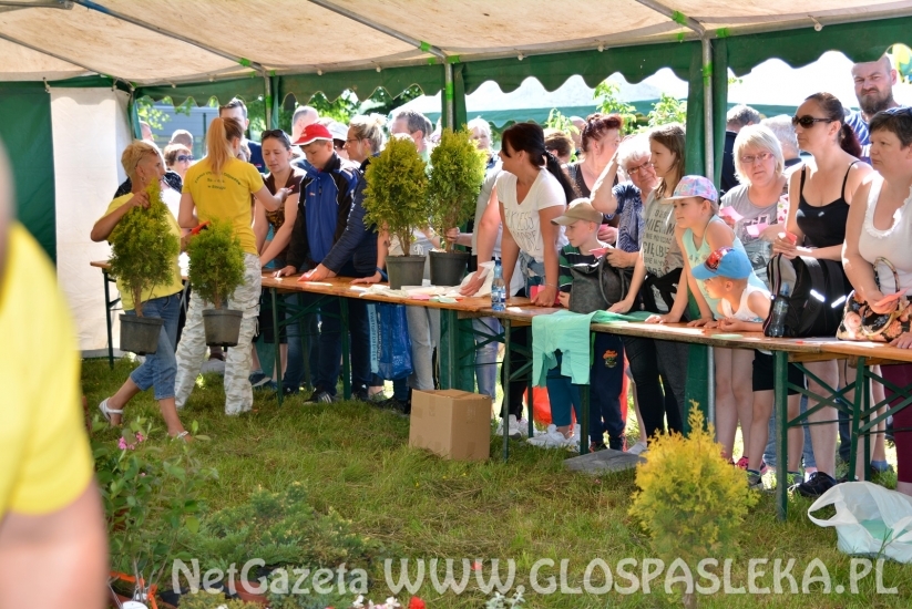 Festyn Ekologiczny 2018