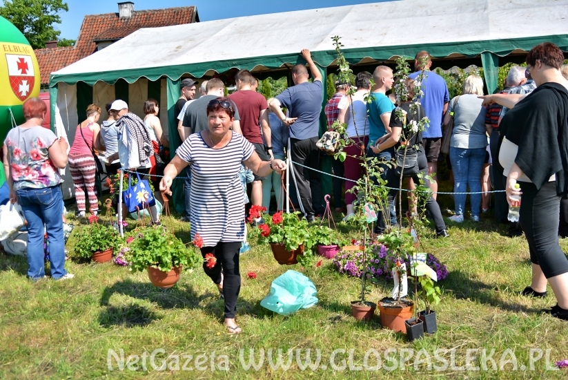 Festyn Ekologiczny 2018