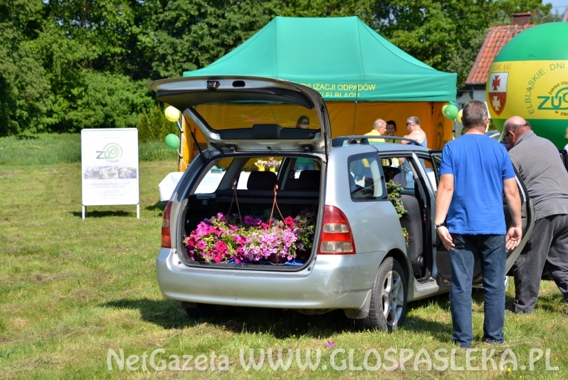 Festyn Ekologiczny 2018