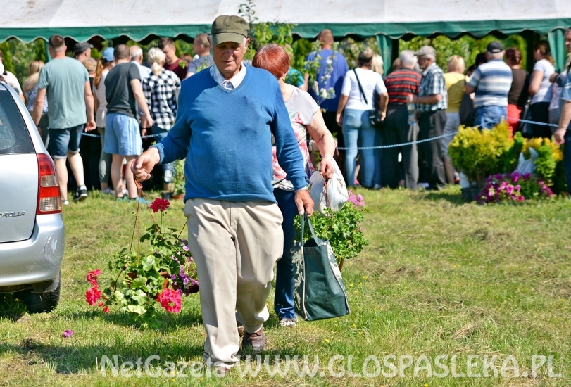 Festyn Ekologiczny 2018