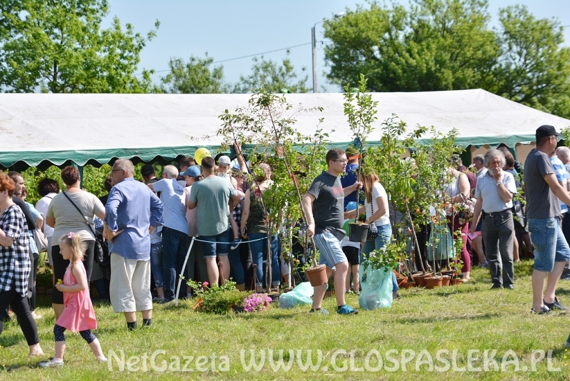 Festyn Ekologiczny 2018