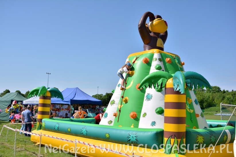 Festyn Ekologiczny 2018