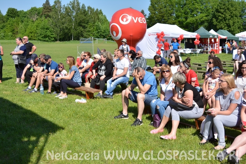 Festyn Ekologiczny 2018