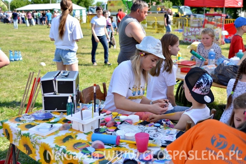 Festyn Ekologiczny 2018