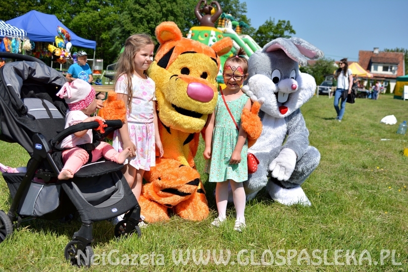 Festyn Ekologiczny 2018