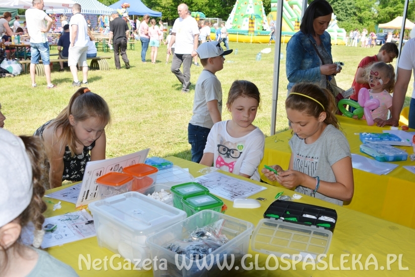 Festyn Ekologiczny 2018