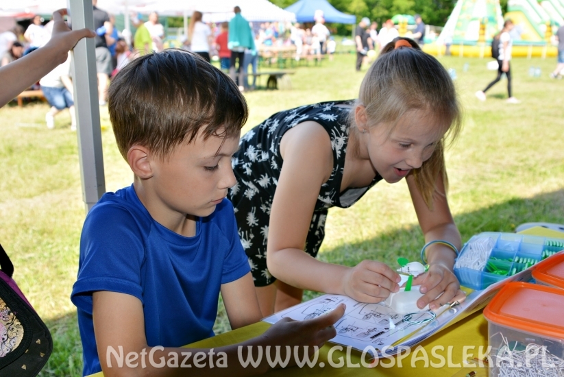 Festyn Ekologiczny 2018