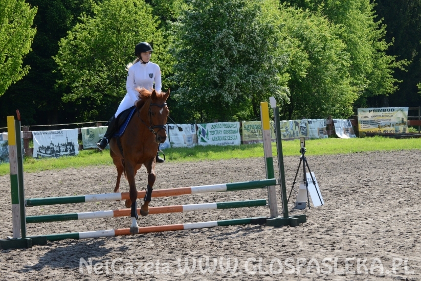 Ponad 80 uczestników Memoriału H. Hucza