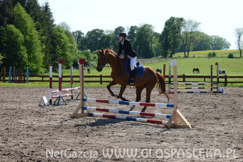 Ponad 80 uczestników Memoriału H. Hucza