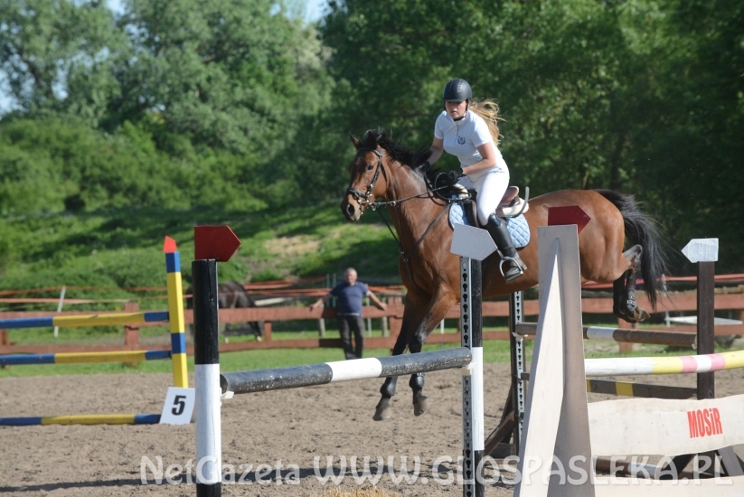 Ponad 80 uczestników Memoriału H. Hucza