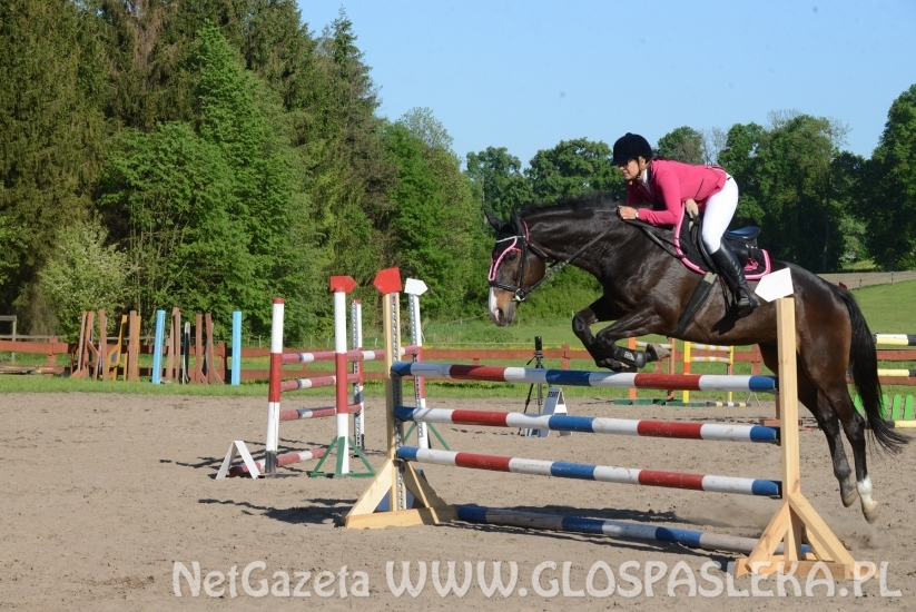 Ponad 80 uczestników Memoriału H. Hucza