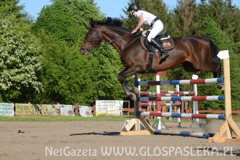 Ponad 80 uczestników Memoriału H. Hucza