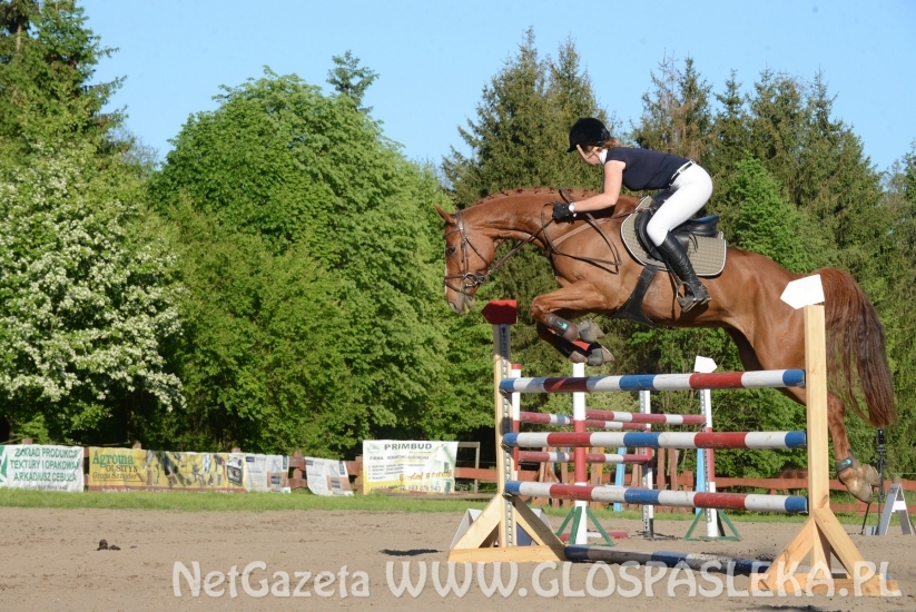 Ponad 80 uczestników Memoriału H. Hucza