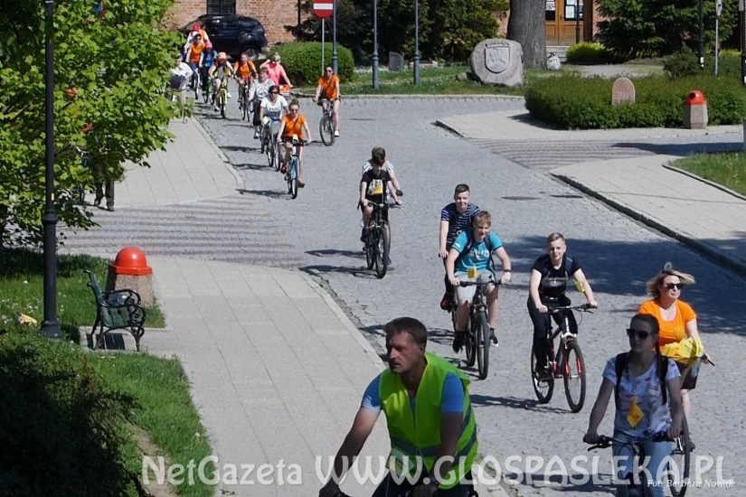 Odjazdowy Bibliotekarz 2018