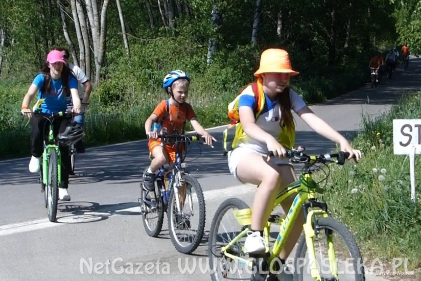 Odjazdowy Bibliotekarz 2018