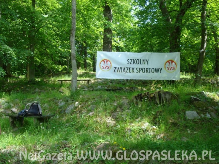 Udział uczniów ZSEiT w Biegu na Orientację