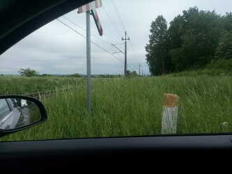 Niestrzeżony przejazd kolejowy