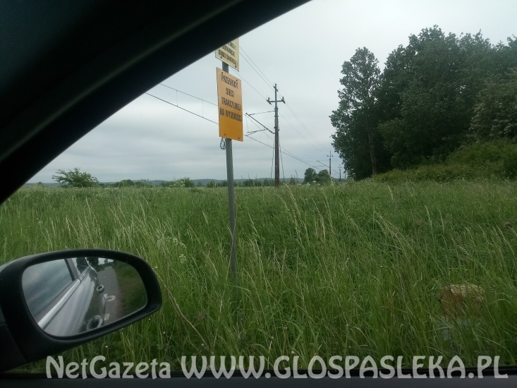 Niestrzeżony przejazd kolejowy