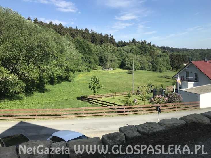 Pozdrowienia z Reifenbergu