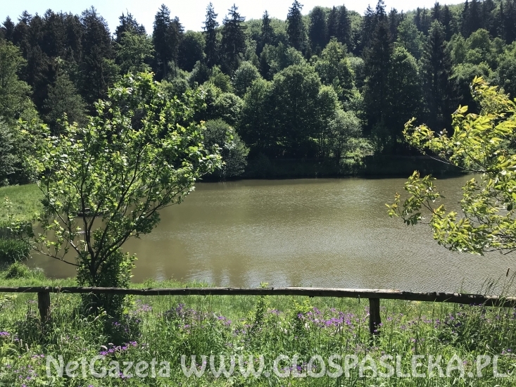 Pozdrowienia z Reifenbergu