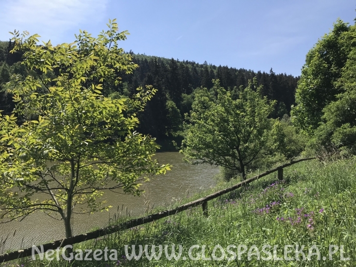 Pozdrowienia z Reifenbergu