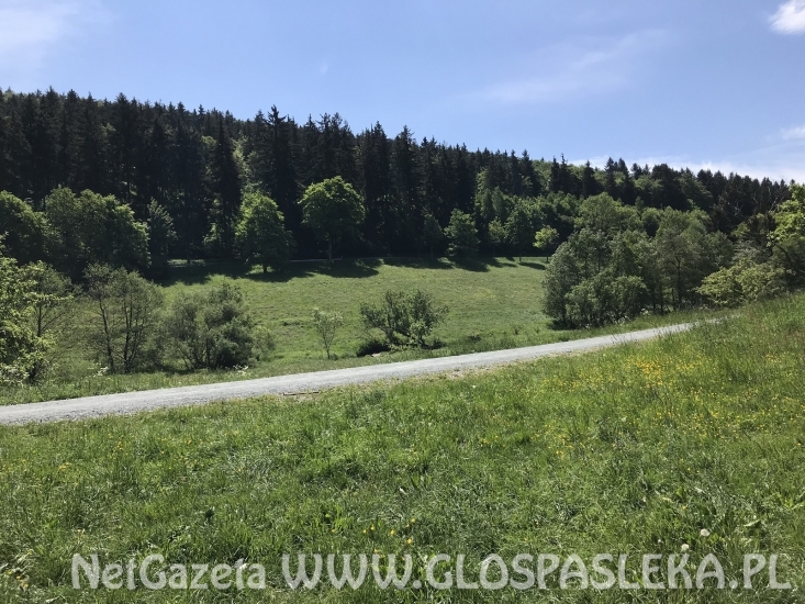 Pozdrowienia z Reifenbergu