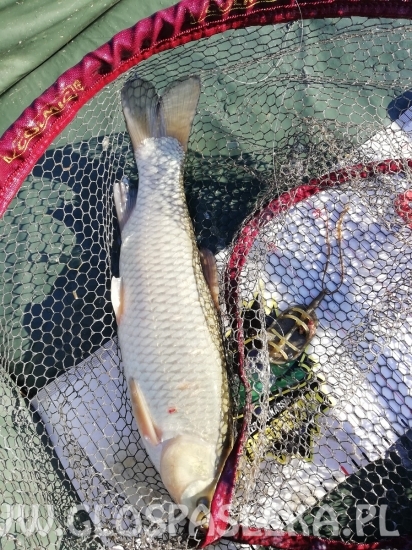 Wyjątkowy dzień pana Piotra