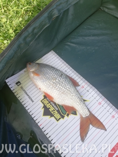 Wyjątkowy dzień pana Piotra