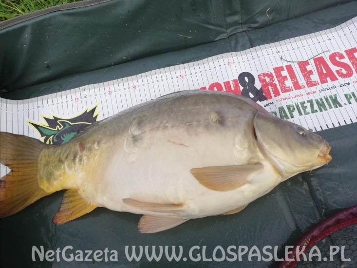 Wyjątkowy dzień pana Piotra