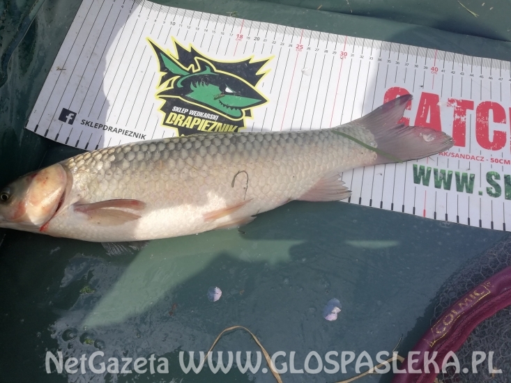 Wyjątkowy dzień pana Piotra