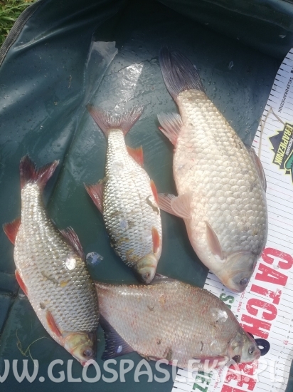 Wyjątkowy dzień pana Piotra