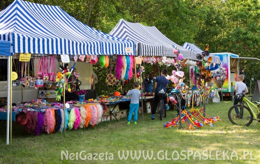 Palinocka w Godkowie - maj 2018