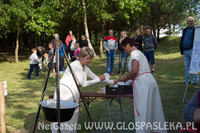 Palinocka w Godkowie - maj 2018