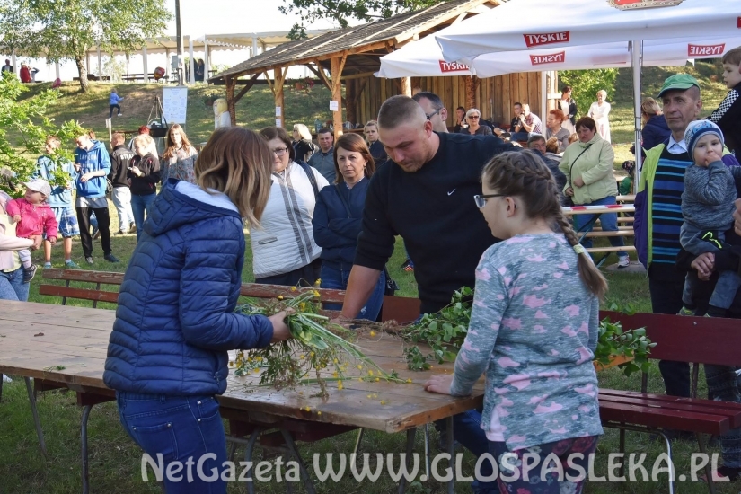 Palinocka w Godkowie - maj 2018